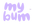 logo of MyBum